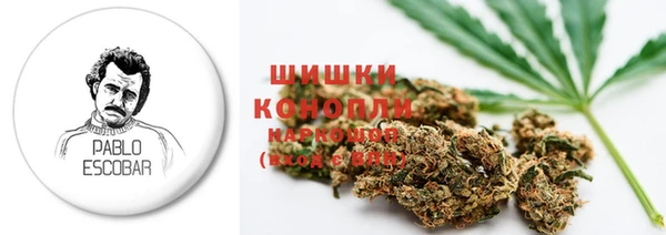 СК Новокубанск