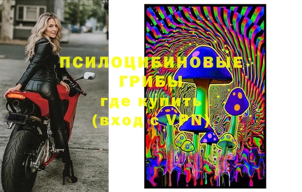 каннабис Новодвинск