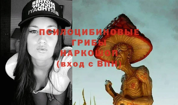СК Новокубанск